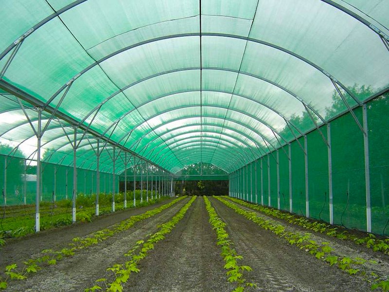 Agricultural Netting